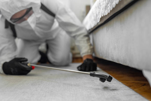Professional Termite Control technician working in Real County County, TX